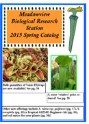 2015 Spring Catalog