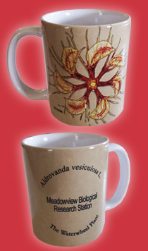 Aldrovanda vesiculosa Coffee Mug