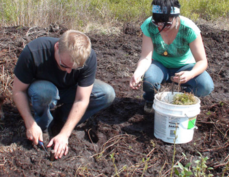 Volunteering at Joseph Pines Preserve