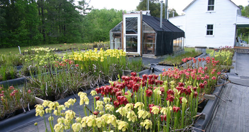 Meadowview Biological Research Station